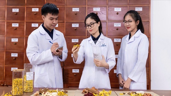 Để y học cổ truyền thành sức mạnh mềm quốc gia
