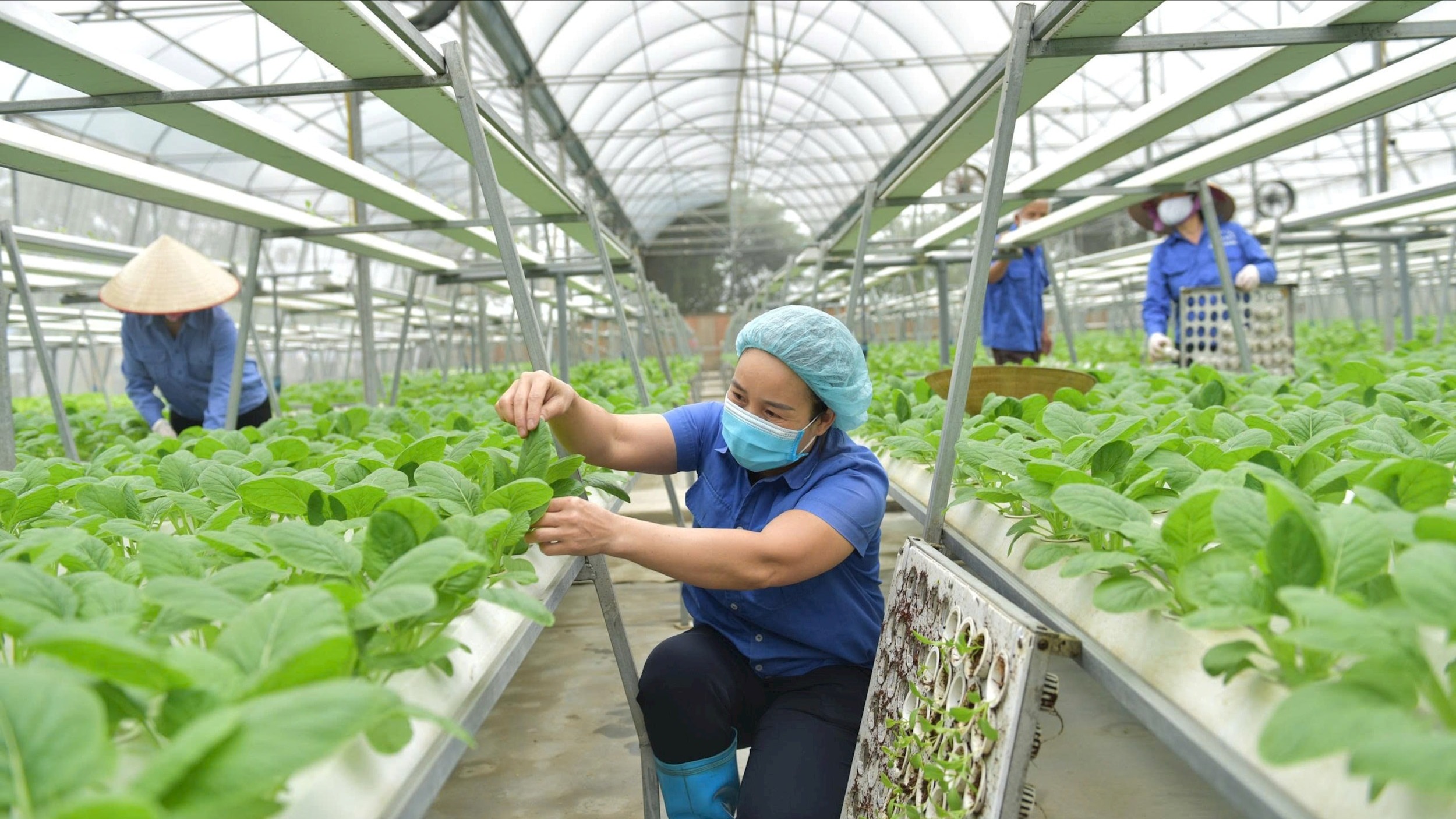Hà Nội phát triển kinh tế xanh bền vững