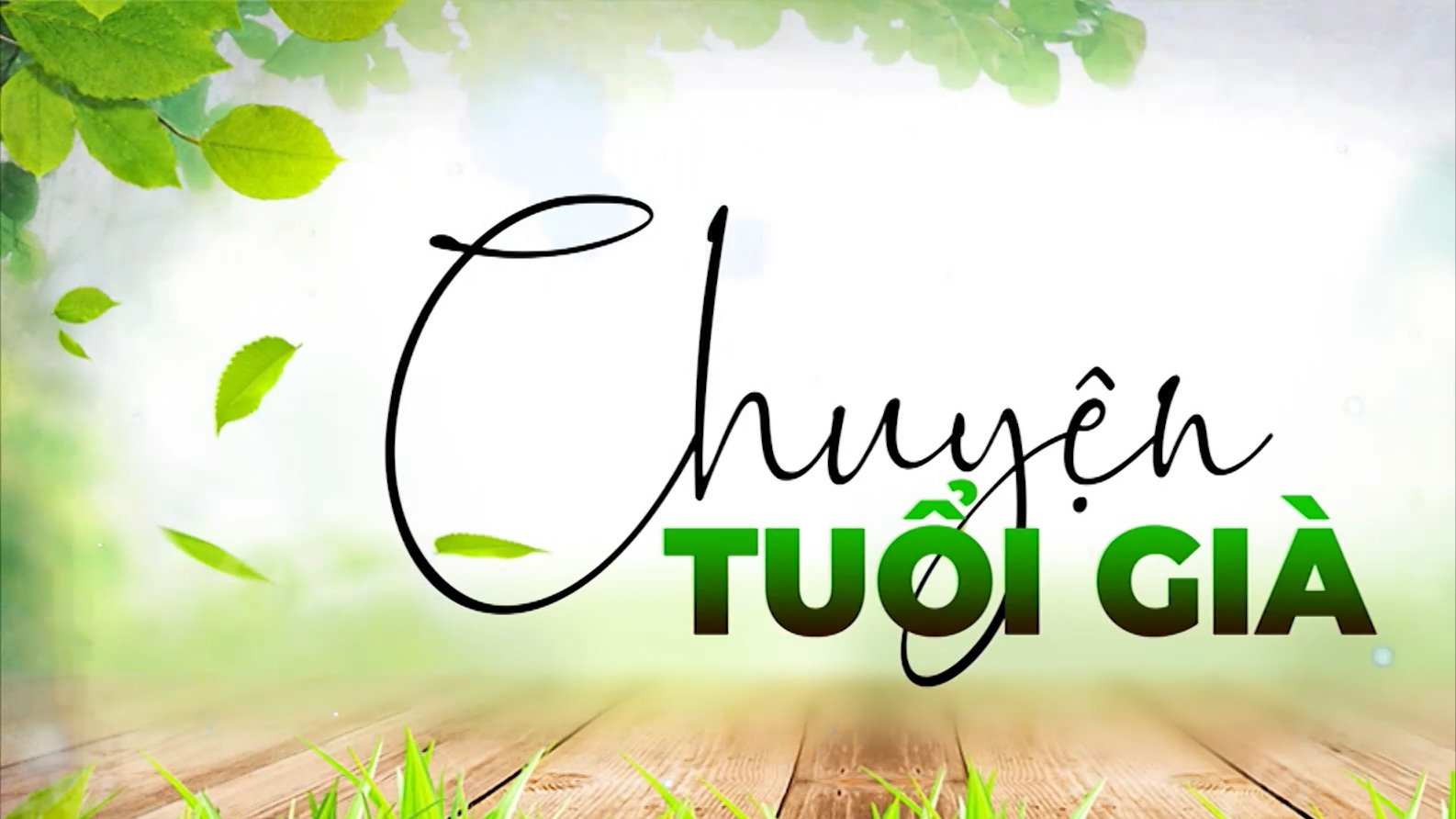 Thay đổi thói quen thích ứng với ngày hè | Chuyện tuổi già | 21/06/2026