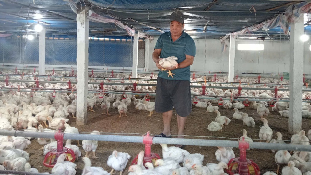 Những lão nông làm kinh tế giỏi