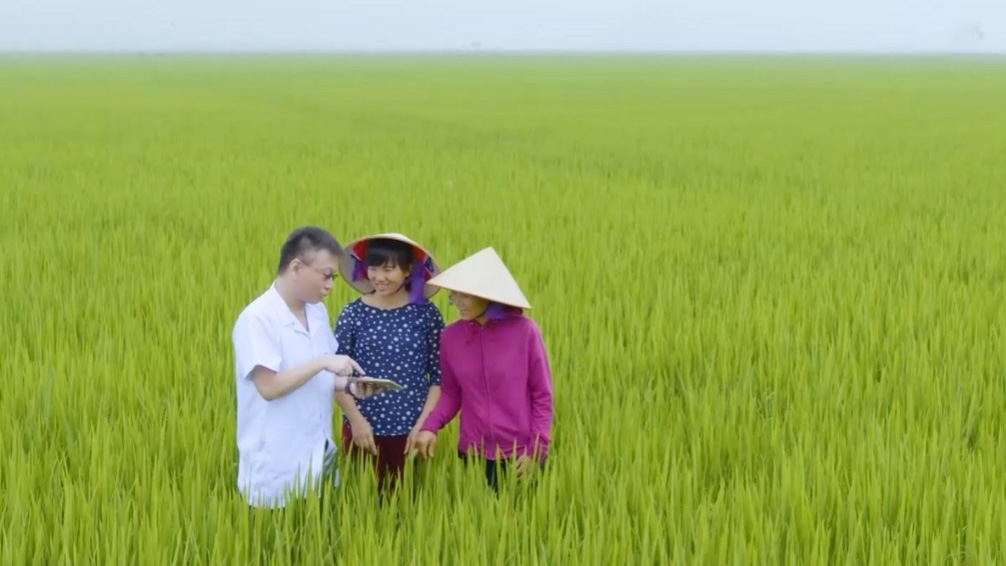 Thay đổi kỹ thuật canh tác - Kiến tạo giá trị xanh | Chuyển đổi xanh | 13/06/2026