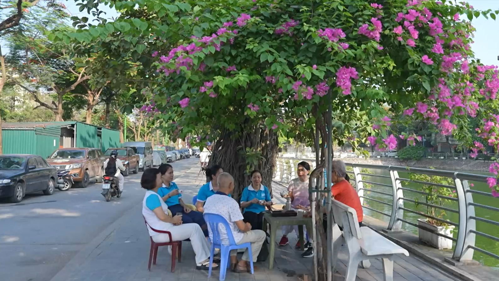 Tuyến đường hoa quanh hồ Thượng – Điểm nhấn xanh từ sức dân