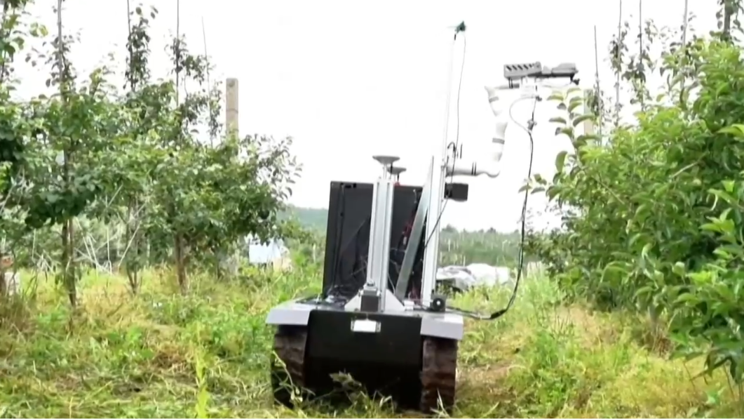 Robot A.I thay thế lao động thủ công tại vùng sản xuất táo