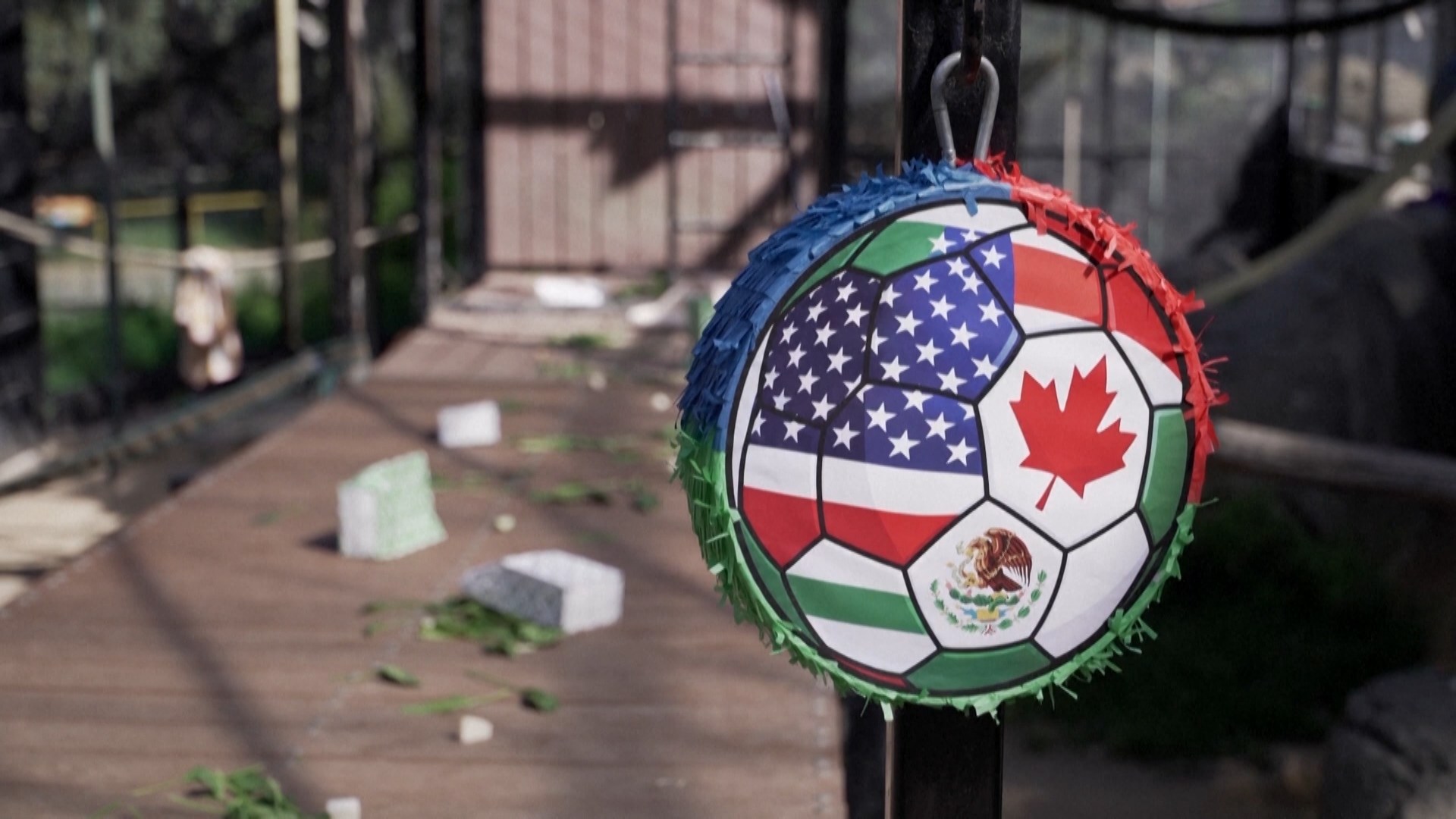 Vườn thú tại Mỹ hào hứng đón World Cup 2026