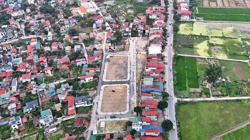 Cảnh báo thủ đoạn lừa đảo, thao túng đấu giá đất