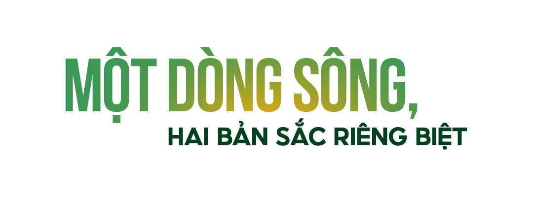 Đài PTTH Hà Nội