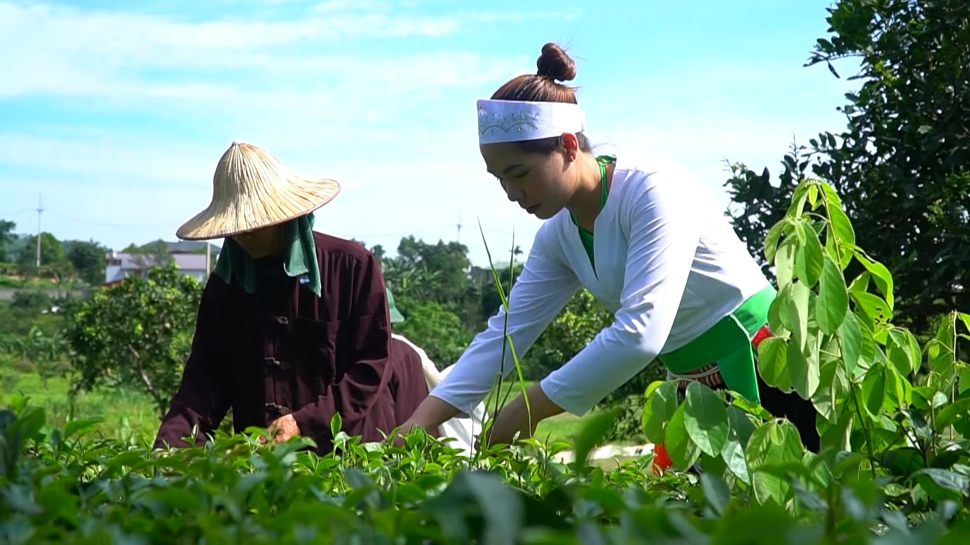 Ý Đảng quyện lòng dân: Sức mạnh từ cơ sở tại Yên Bài