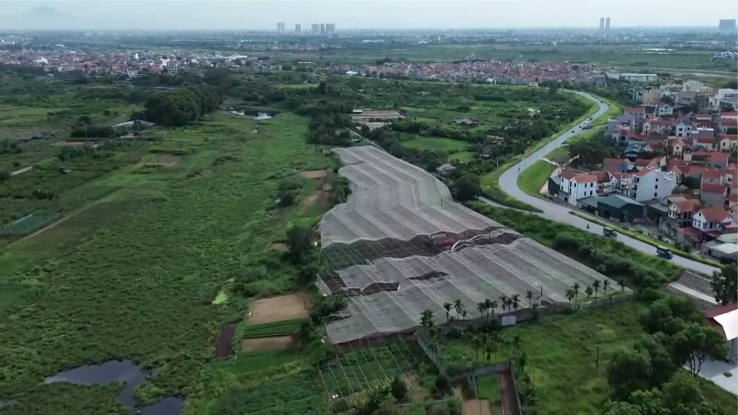 Xanh hóa đất nông nghiệp bỏ hoang - khơi nguồn sinh kế | Chuyển đổi xanh | 11/07/2026