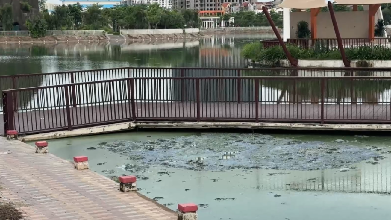Ô nhiễm mặt hồ công viên Ngọc Thụy