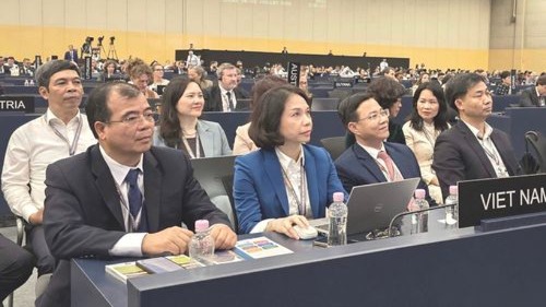 Hà Nội tăng cường hợp tác bảo tồn di sản thế giới
