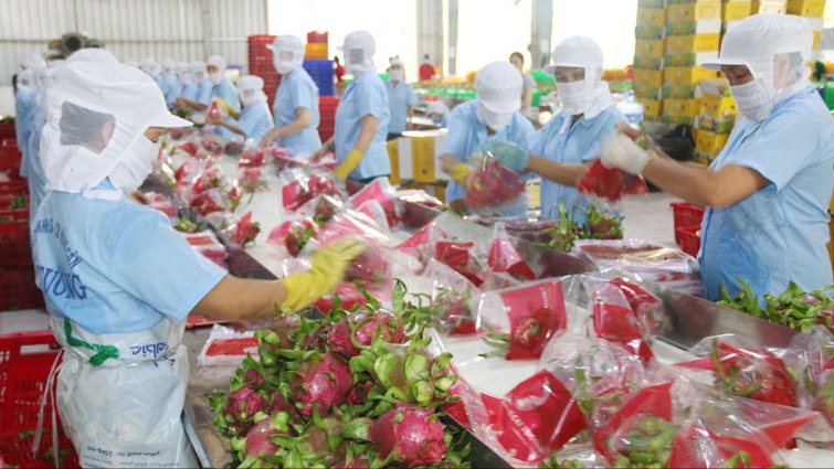 Chỉ dẫn địa lý mở rộng cánh cửa xuất khẩu cho nông sản Việt Nam 