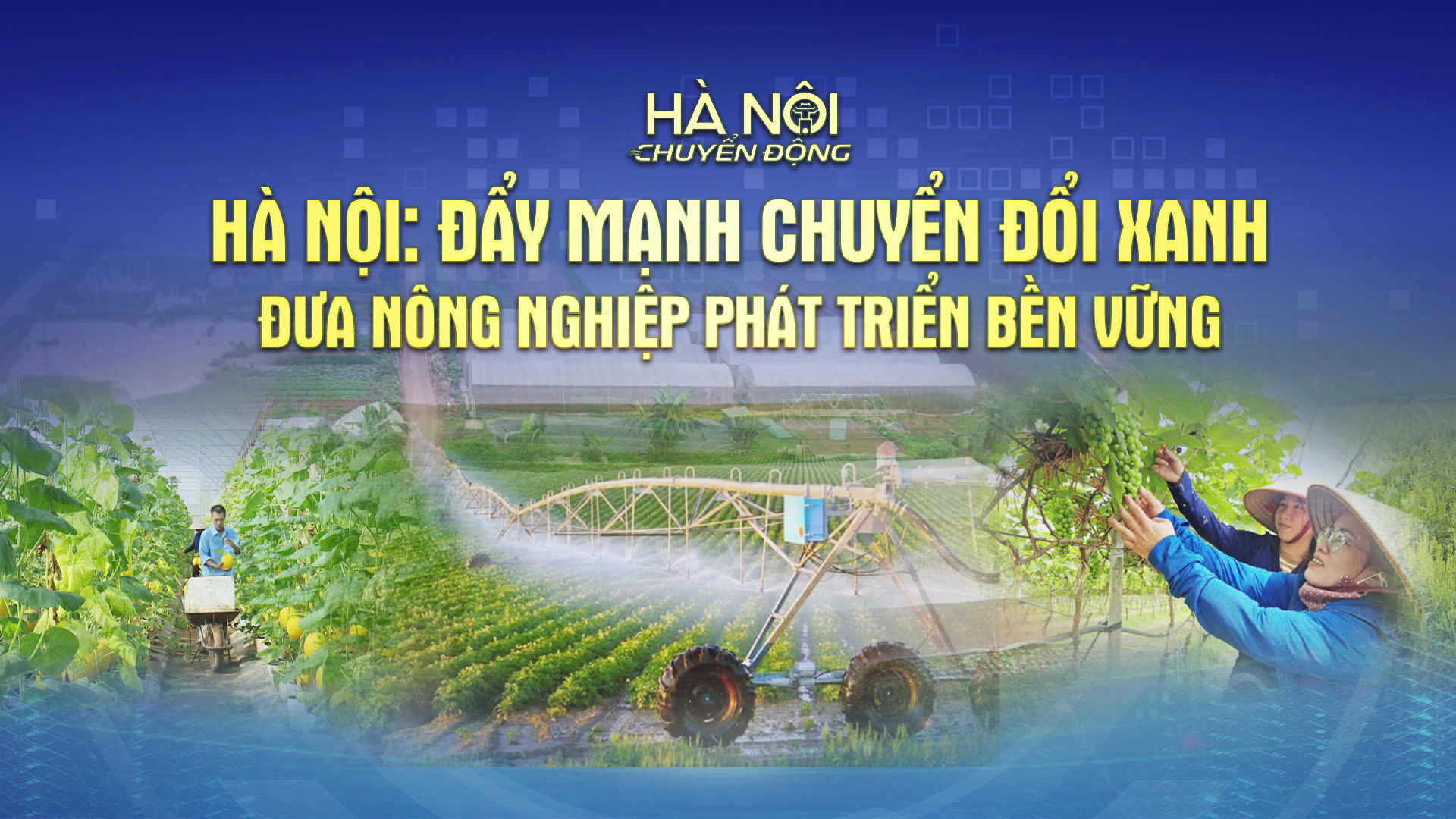 Hà Nội chuyển động: ‘Hà Nội: Đẩy mạnh chuyển đổi xanh - Đưa nông nghiệp phát triển bền vững’