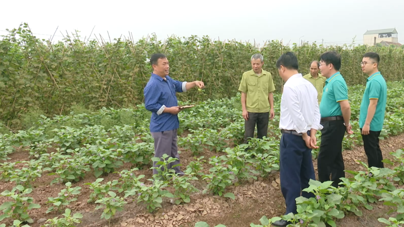 Quy định mới về xử phạt vi phạm hành chính trong lĩnh vực đất đai