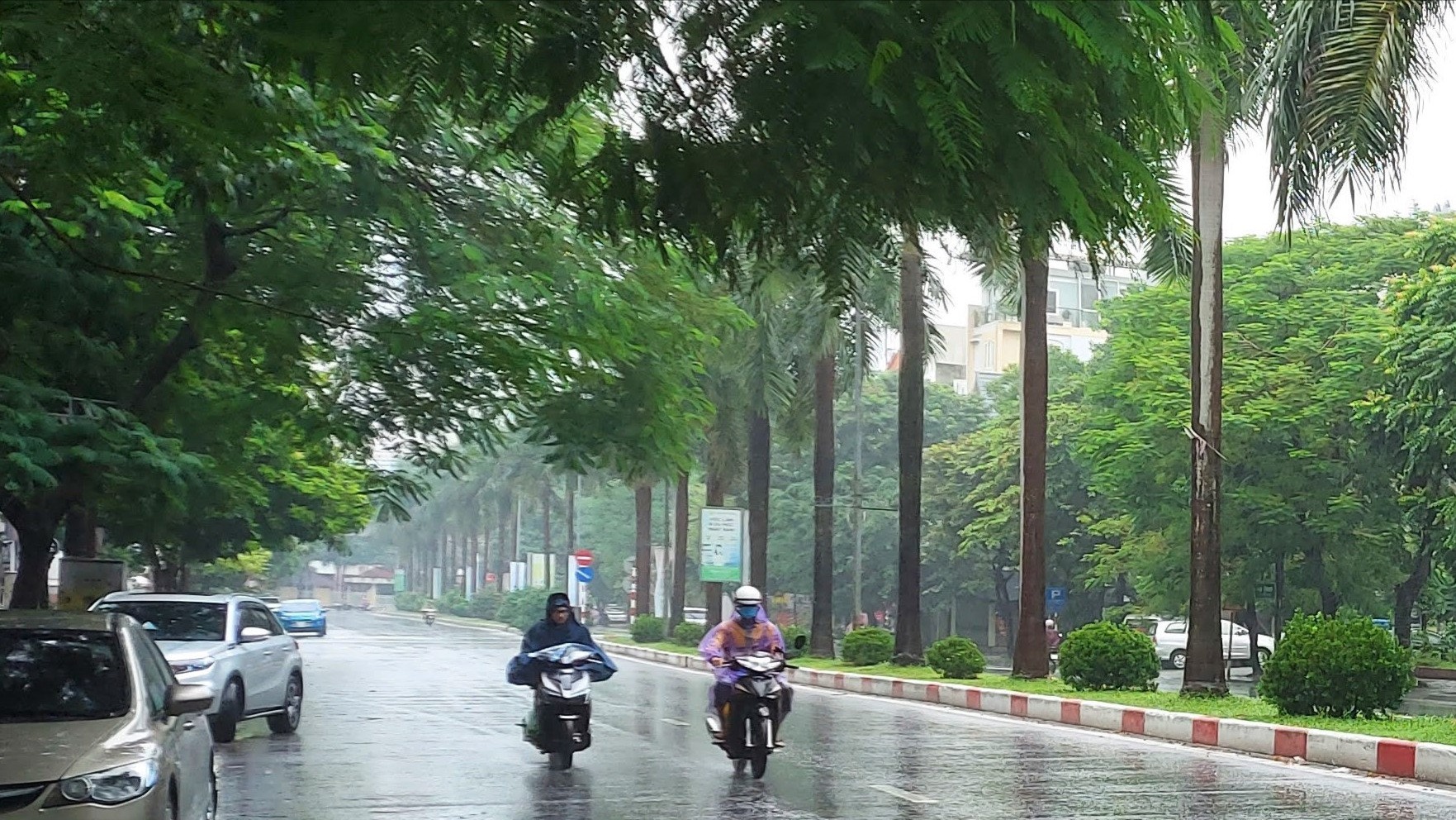 Hà Nội có mưa vừa, mưa to và dông cục bộ