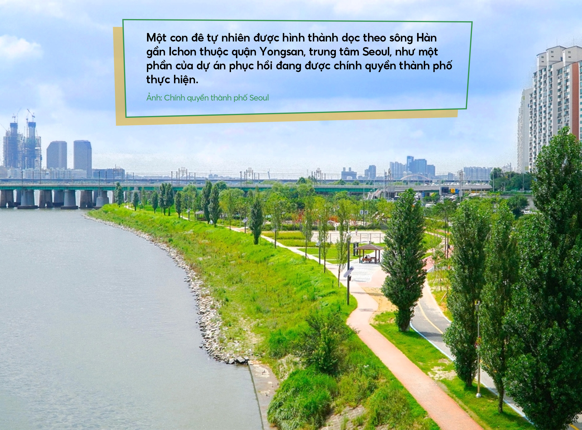 Đài PTTH Hà Nội