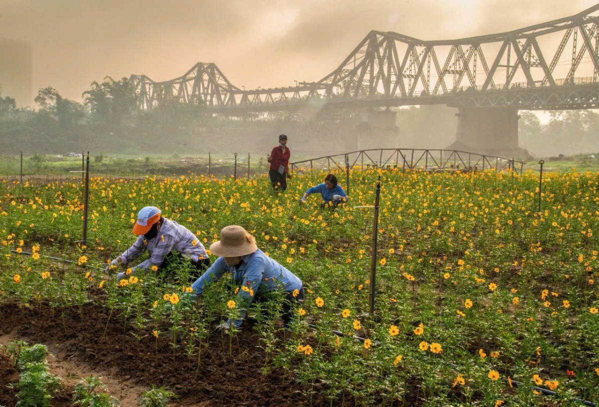 Đài PTTH Hà Nội