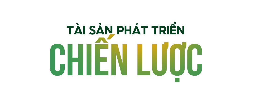 Đài PTTH Hà Nội
