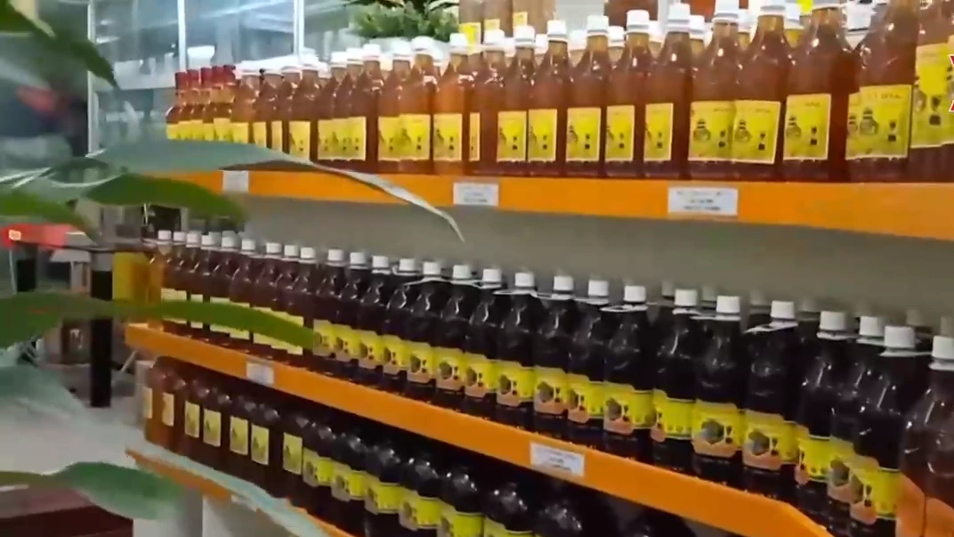 Kết nối đầu tư thúc đẩy phát triển kinh tế xanh | Phóng sự | 09/08/2026