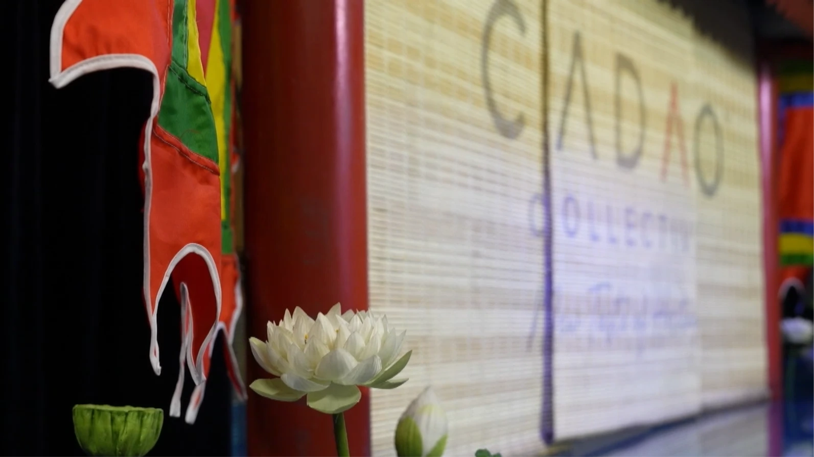 Cadao Collective: Điểm hẹn thưởng thức di sản mới của Thủ đô