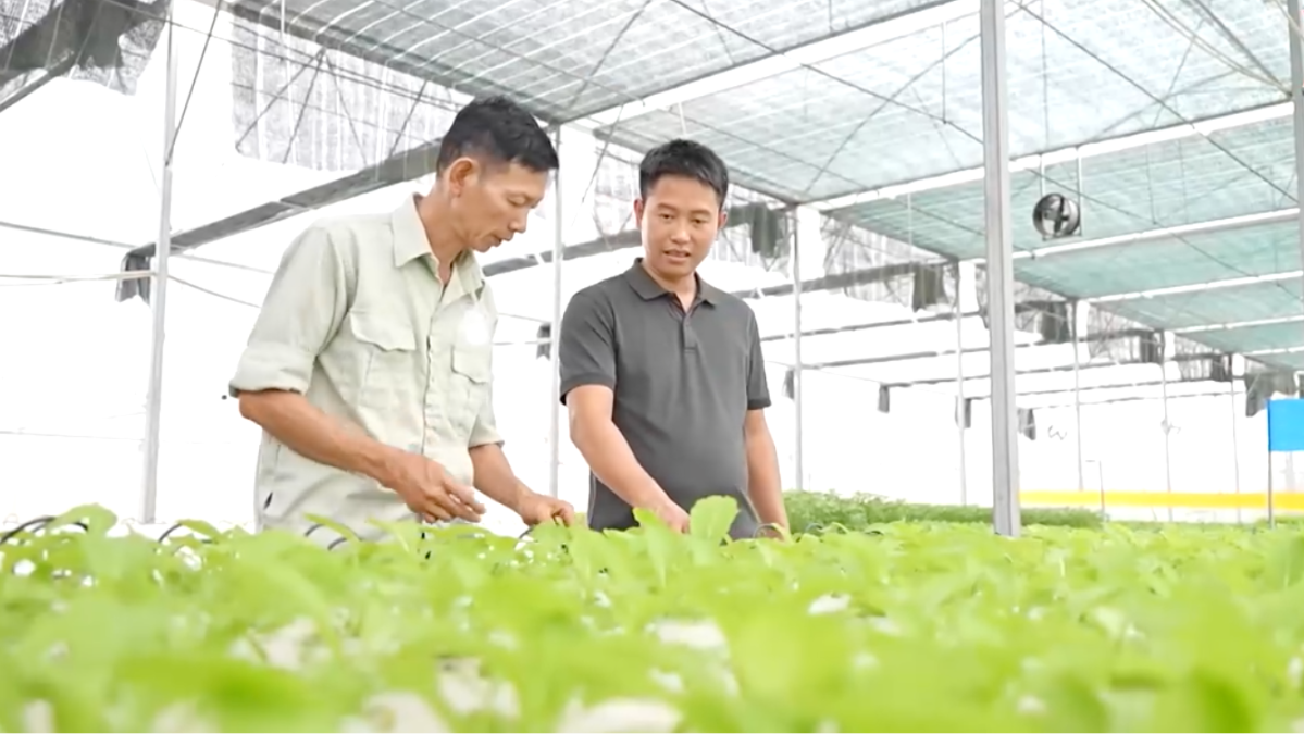 Khát vọng xanh trên đồng quê đổi mới | Người tốt quanh ta | 10/08/2026