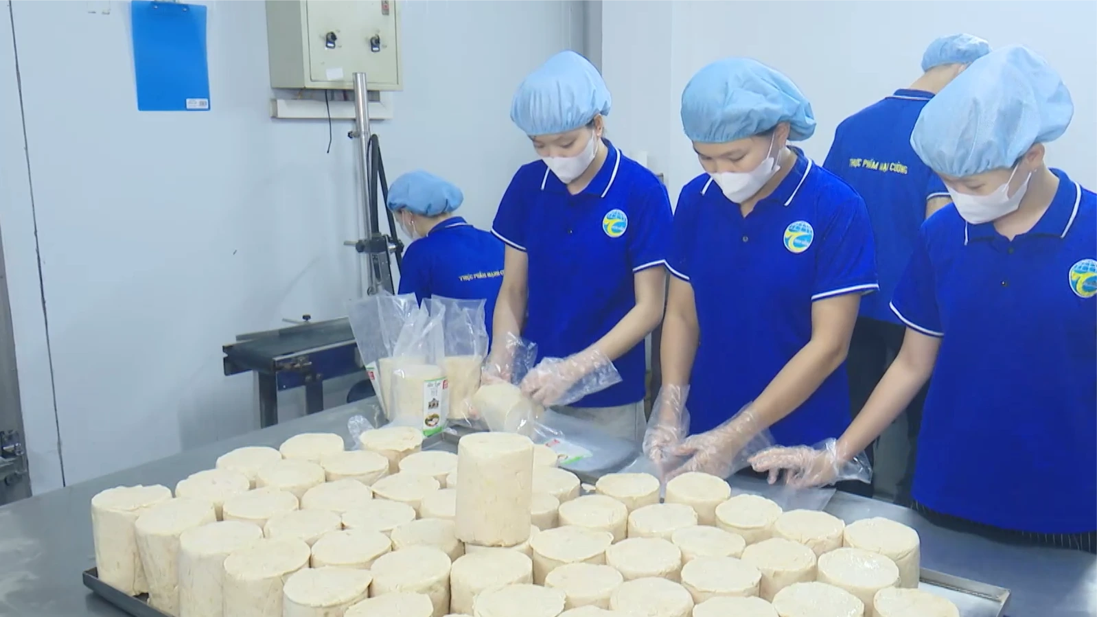 Thư Lâm phát triển nông nghiệp tiến tới mô hình xã xã hội chủ nghĩa | Nông nghiệp nông thôn | 06/08/2026
