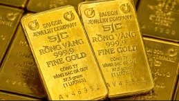 Tổng quan thị trường ngày 13/8