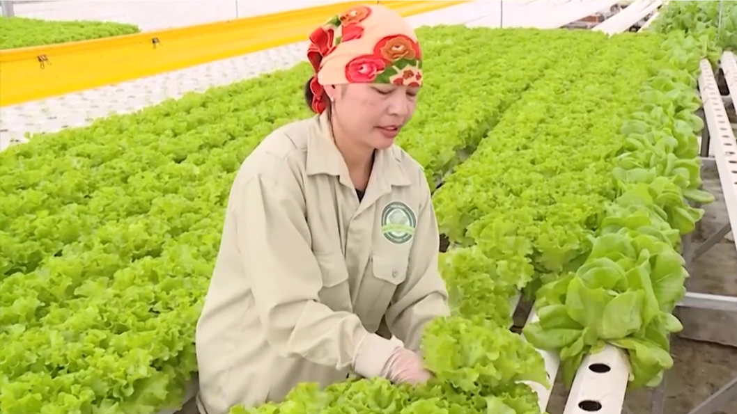 Công nghệ cao - từ hiệu quả đến sản xuất xanh | Sản xuất xanh - Năng lượng sạch | 15/08/2026