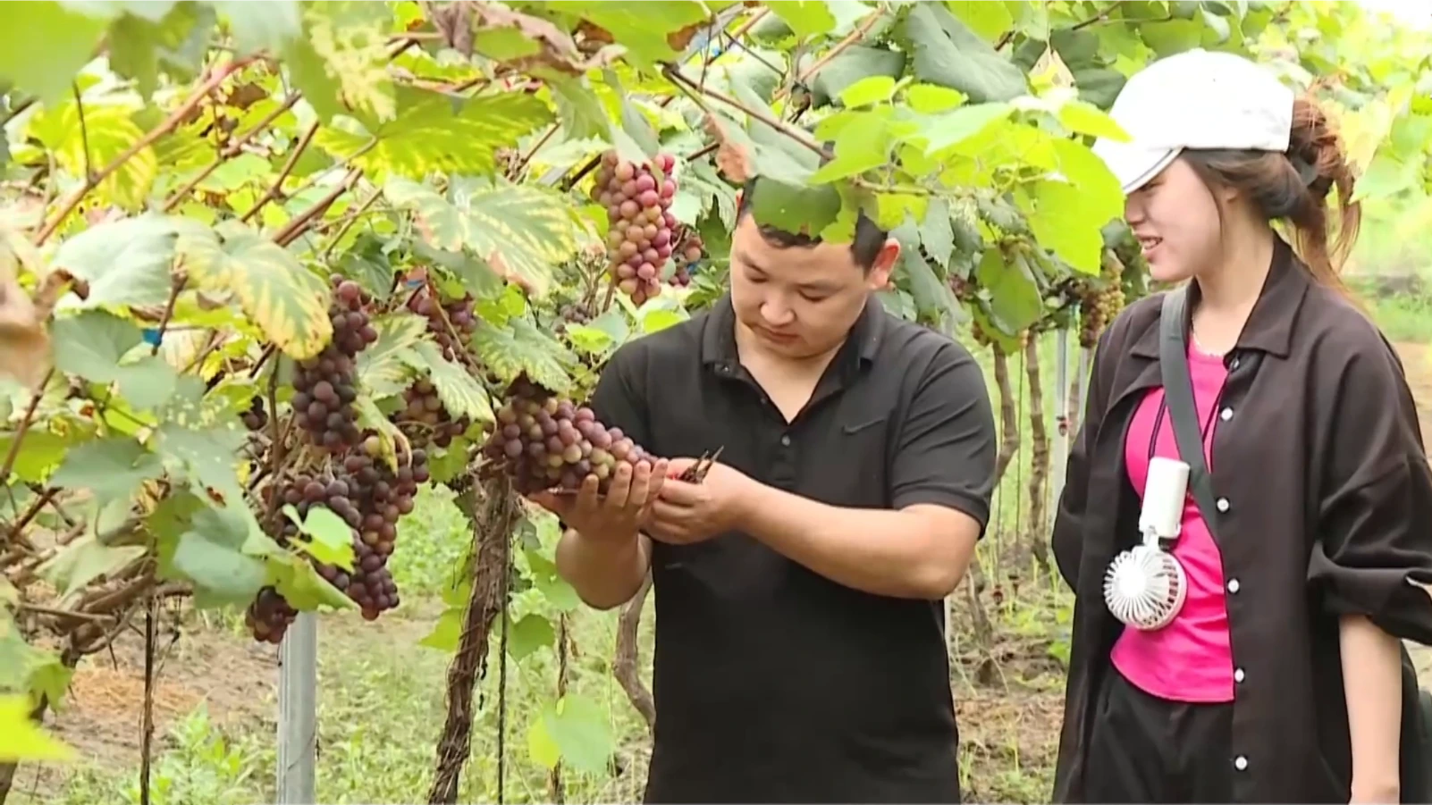 Doanh nghiệp nhỏ và vừa vẫn khó tiếp cận vốn vay