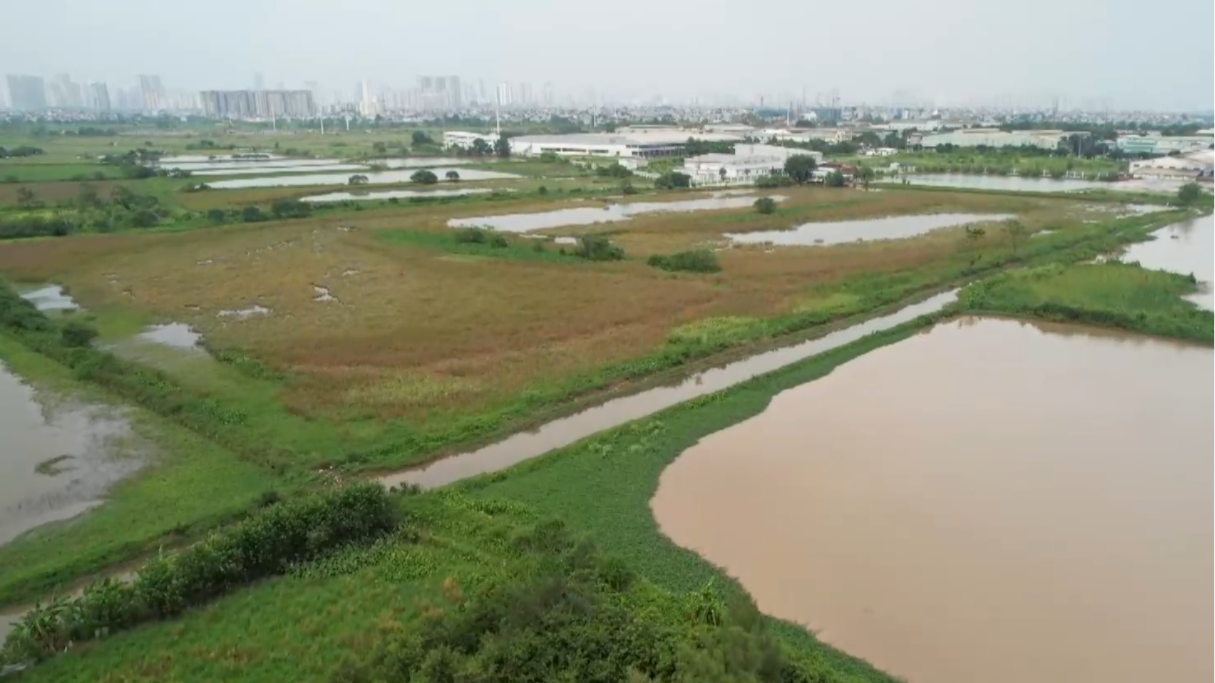 Dự án nhà ở sinh thái Đồng Mai 