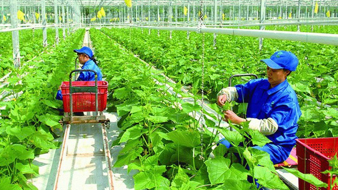 Cần cơ chế tín dụng ưu đãi cho phát triển nông nghiệp xanh