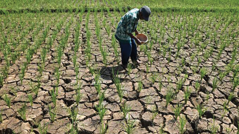 Hiện tượng El Nino đe dọa kỷ lục nhiệt độ toàn cầu 