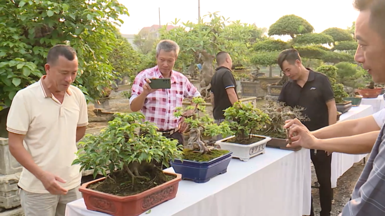 Thương mại điện tử trong làng nghề | Chuyển đổi số | 20/08/2026