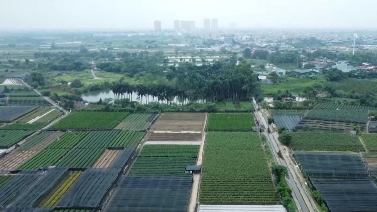Đánh thuế cao với đất chậm đưa vào sử dụng