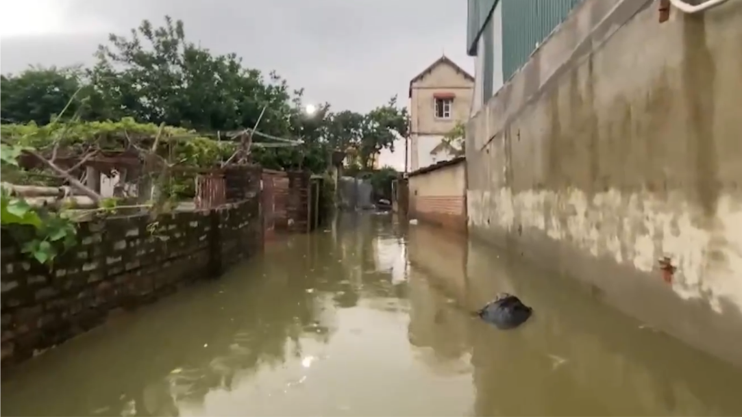 Hơn 300 hộ dân tại xã Trung Giã bị cô lập do lũ dâng cao