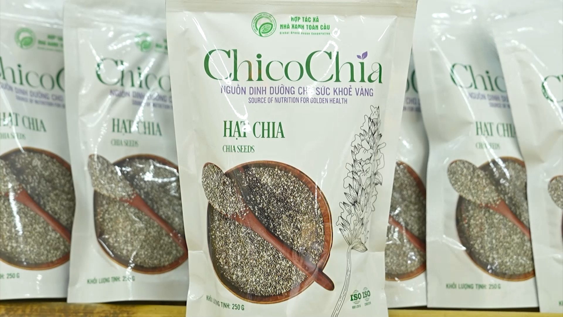 Nông sản Hà Nội trước cơ hội chinh phục thị trường Halal | Góc nhìn Hà Nội | 28/08/2026
