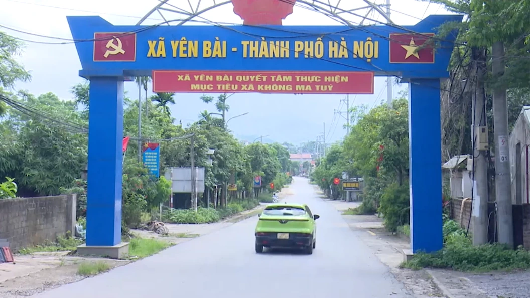 Hơn 3.800 thửa đất đã được làm sạch tại xã Yên Bài