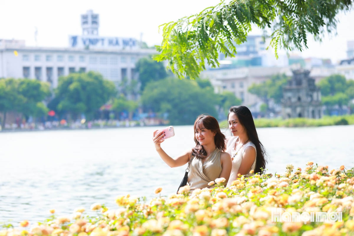 Đài PTTH Hà Nội