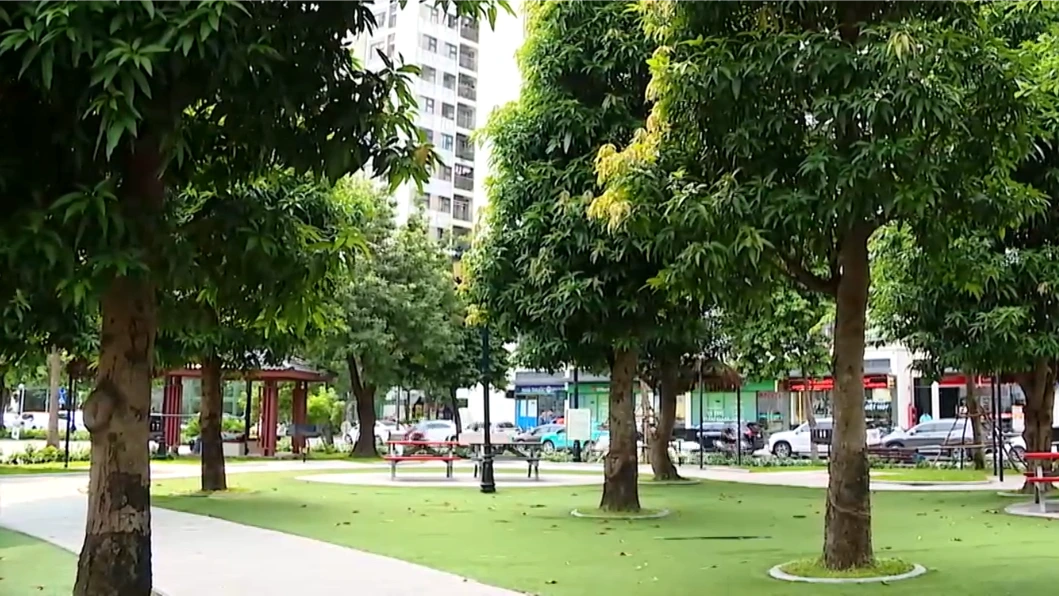 Đô thị xanh - Từ chất lượng sống đến giá trị bền vững