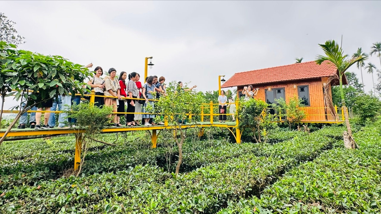 Thúc đẩy quảng bá, tiêu thụ sản phẩm OCOP