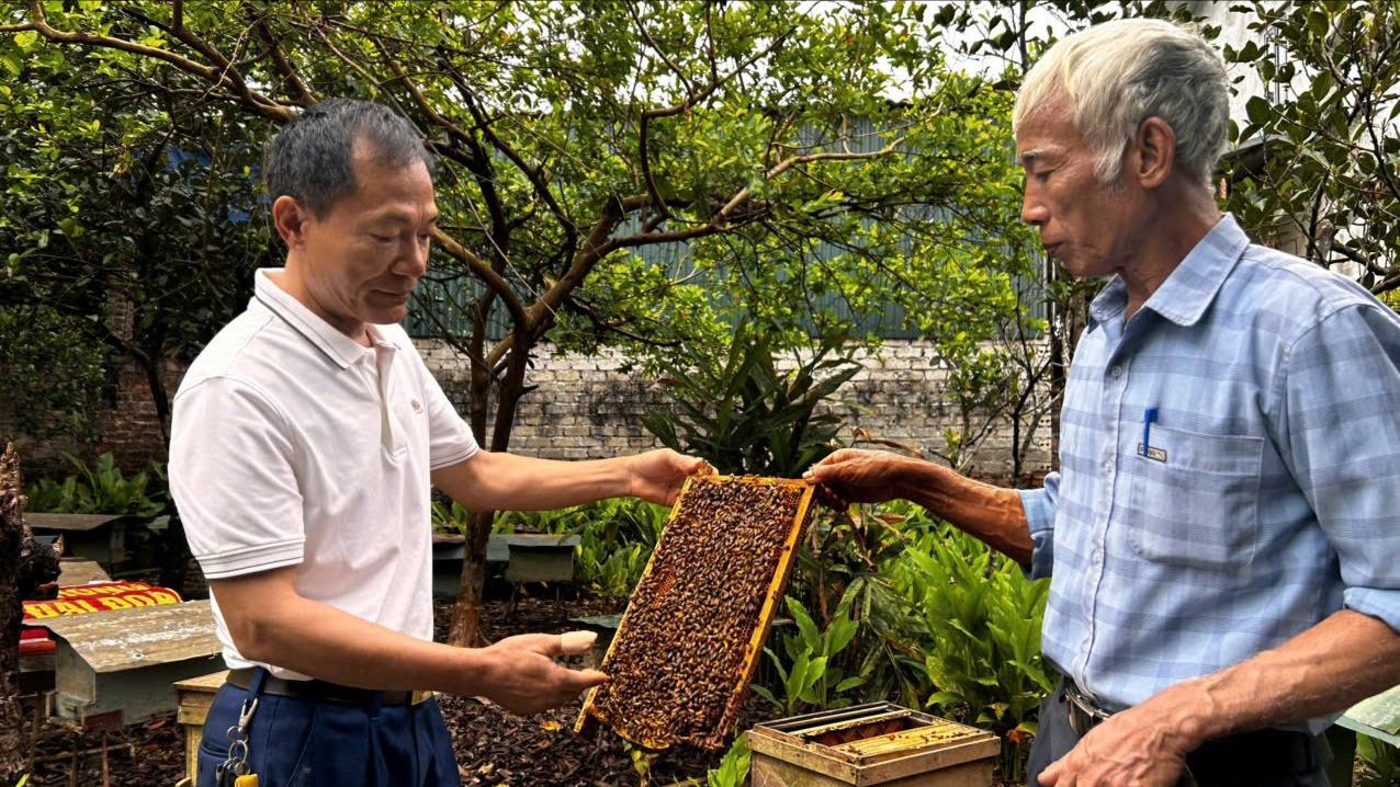 Xây dựng sản phẩm OCOP phát triển kinh tế địa phương