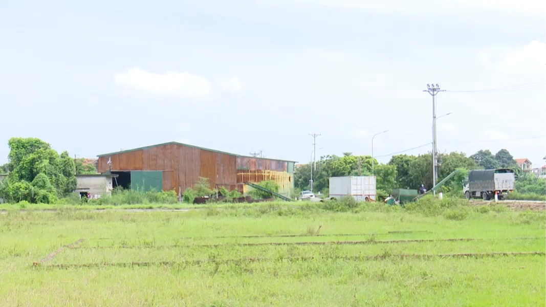 Đề xuất đánh thuế đất bỏ hoang, hạn chế đầu cơ đất nền