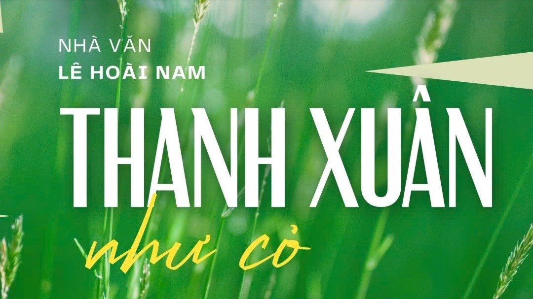 Tiểu thuyết 'Thanh xuân như cỏ' (phần 15) - Lê Hoài Nam