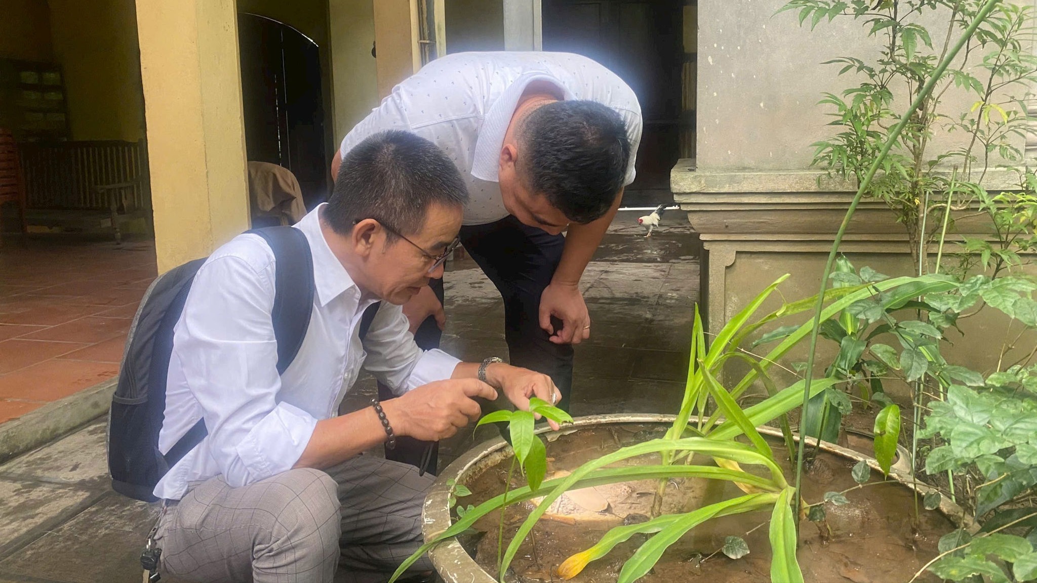Hà Nội khẩn trương kiểm tra, siết chặt phòng chống sốt xuất huyết