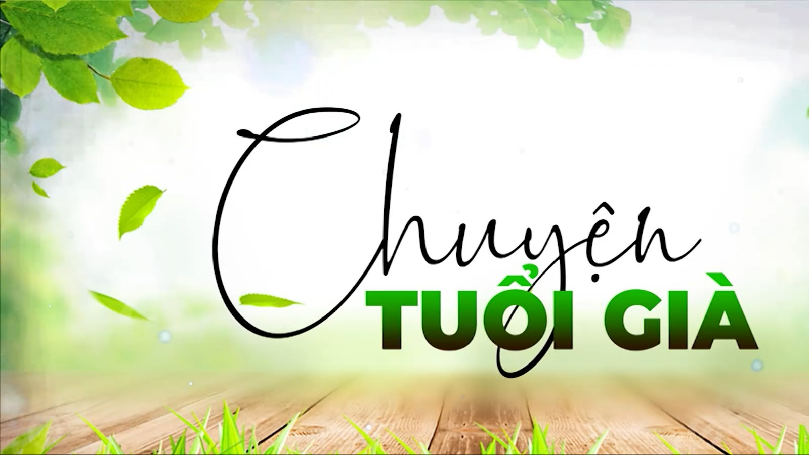 Khi người cao tuổi tự giúp nhau | Chuyện tuổi già | 09/08/2026