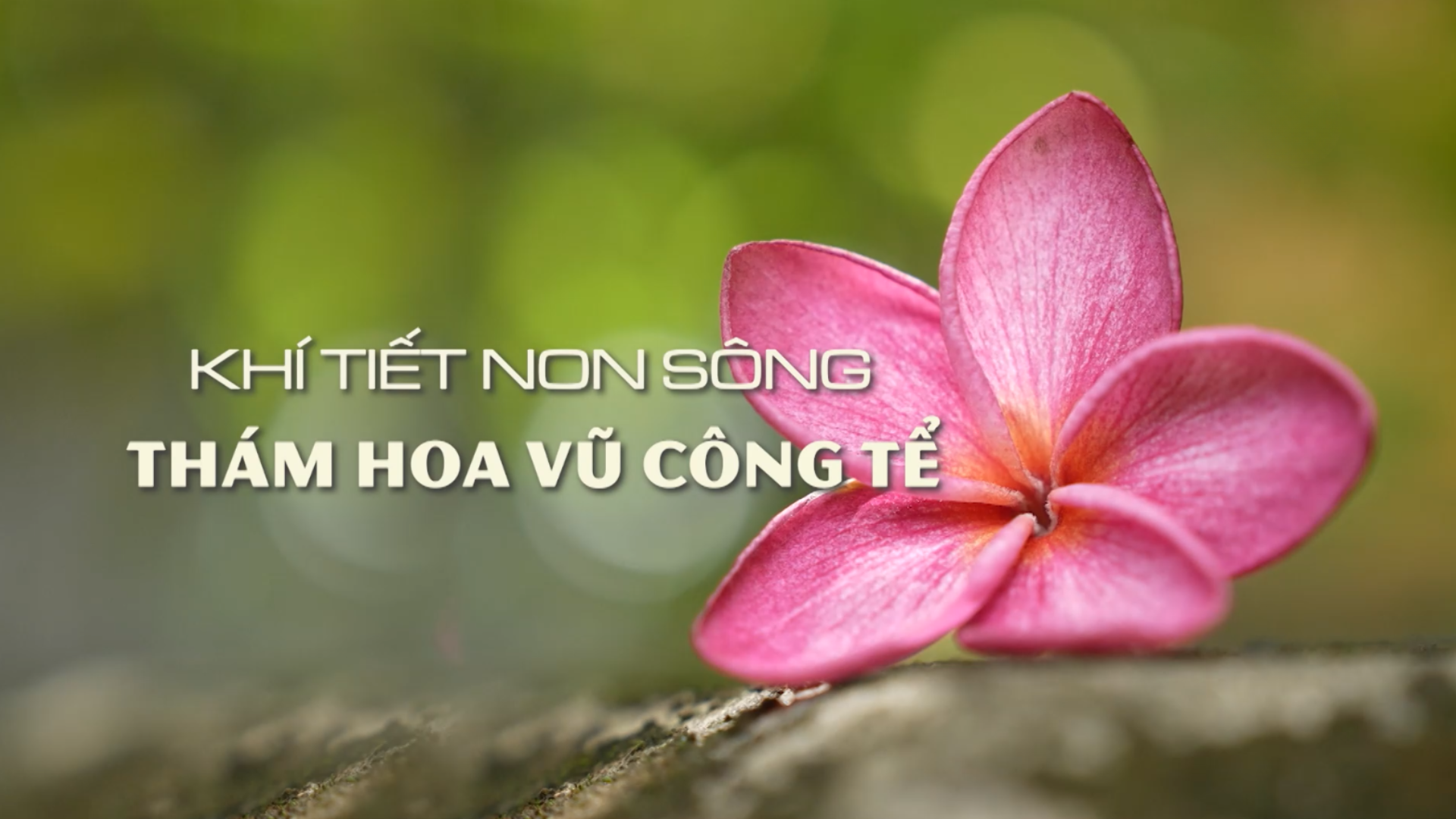 Một đời giữ hồn quê đất nước – Thám hoa Vũ Công Tể | Danh nhân Thăng Long - Hà Nội | 07/08/2026