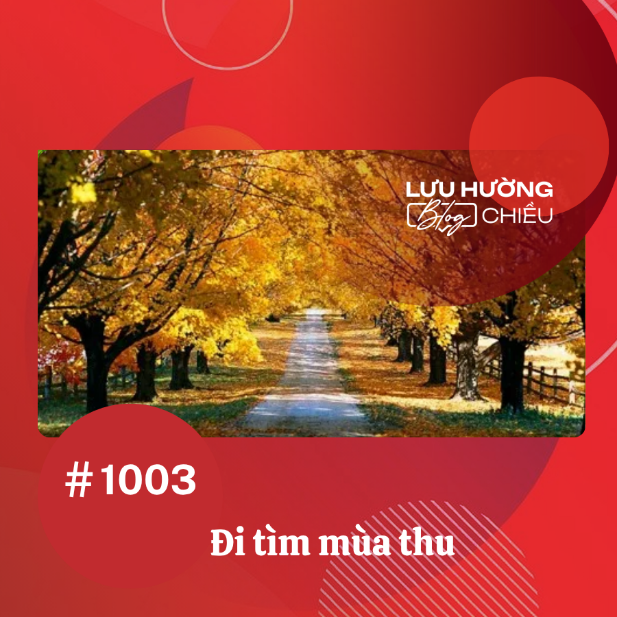 Đi tìm mùa thu