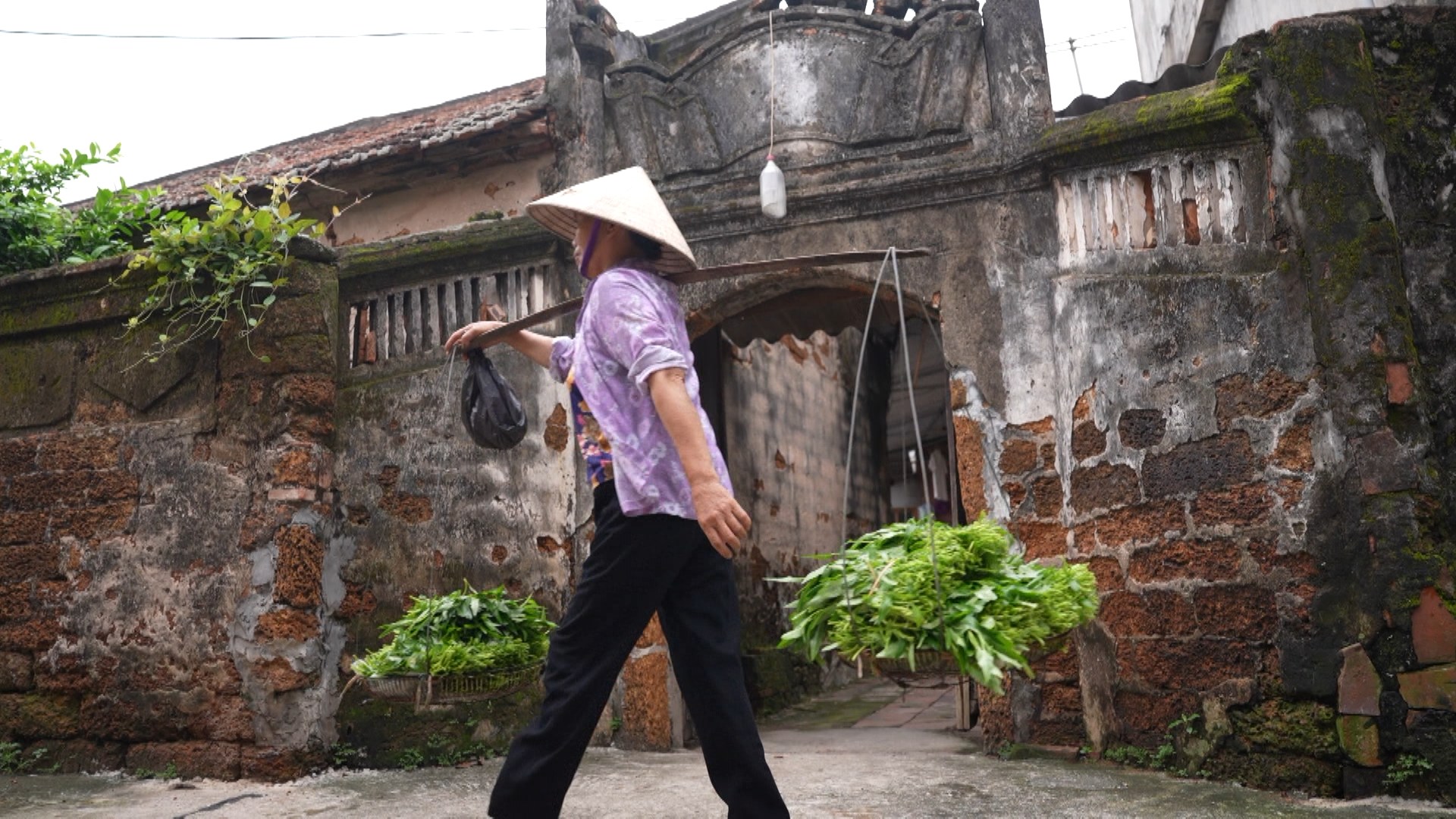 Bình yên làng cổ Yên Trường