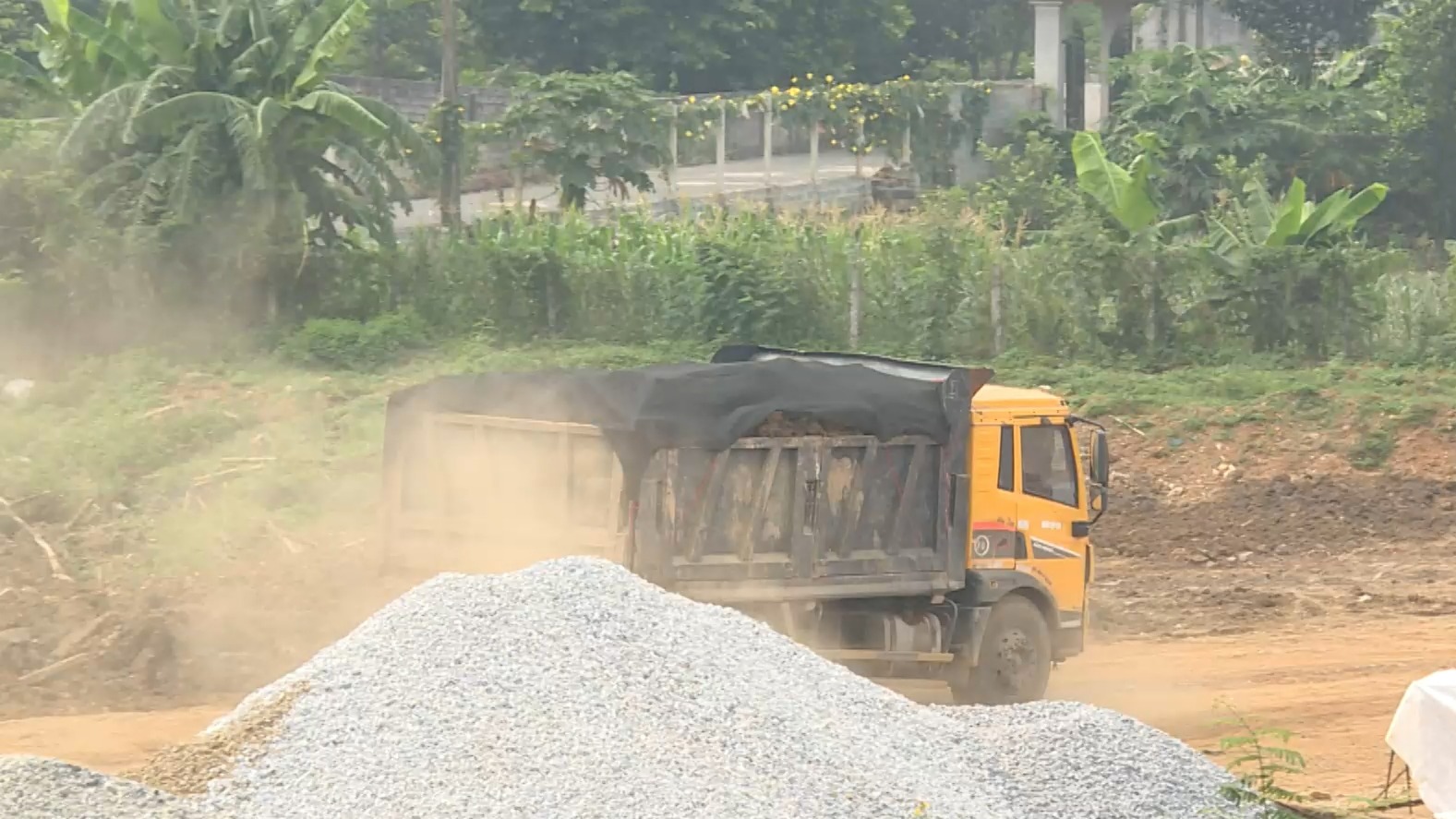 Xử lý dứt điểm vi phạm TTĐT tại phường Phú Lương | Hộp thư truyền hình | 20/09/2026