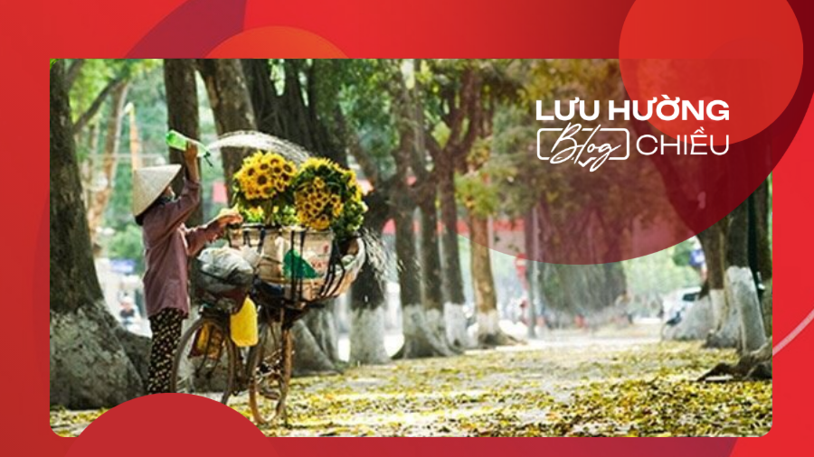Gom nhặt bình yên giữa mùa thu