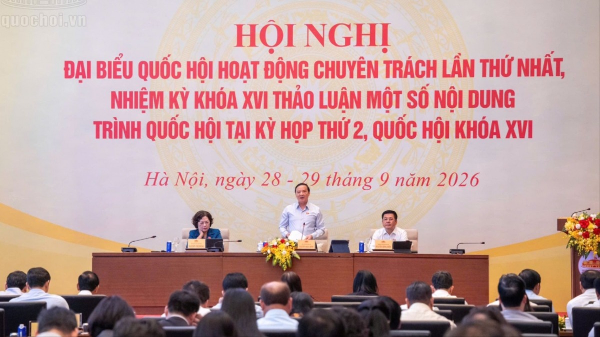 Cân nhắc khi áp dụng các biện pháp xử lý vi phạm hành chính